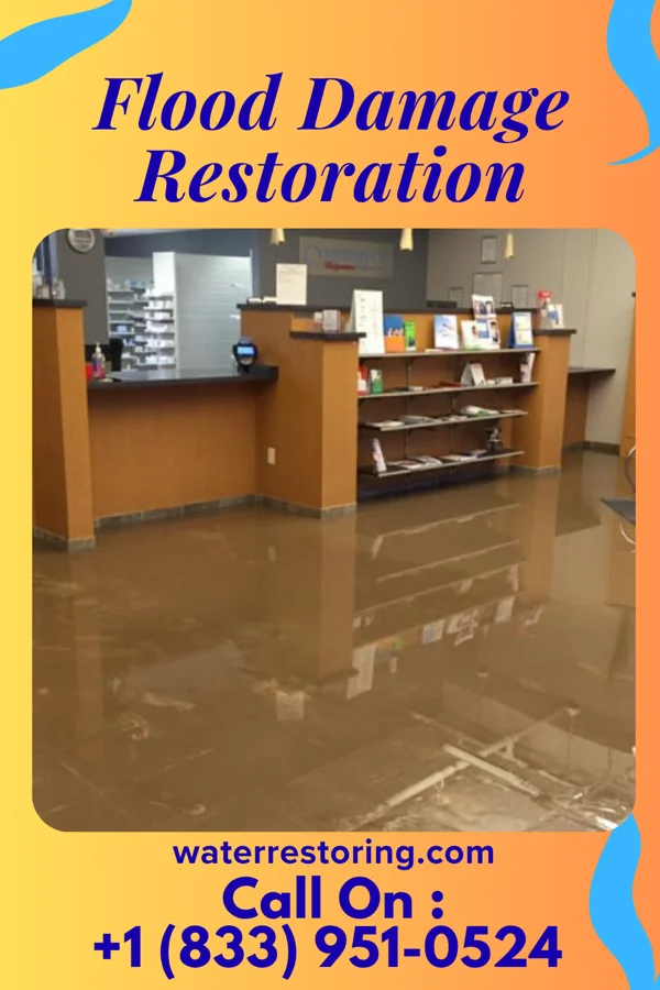 Flood Damage Restoration in Blasdell, NY