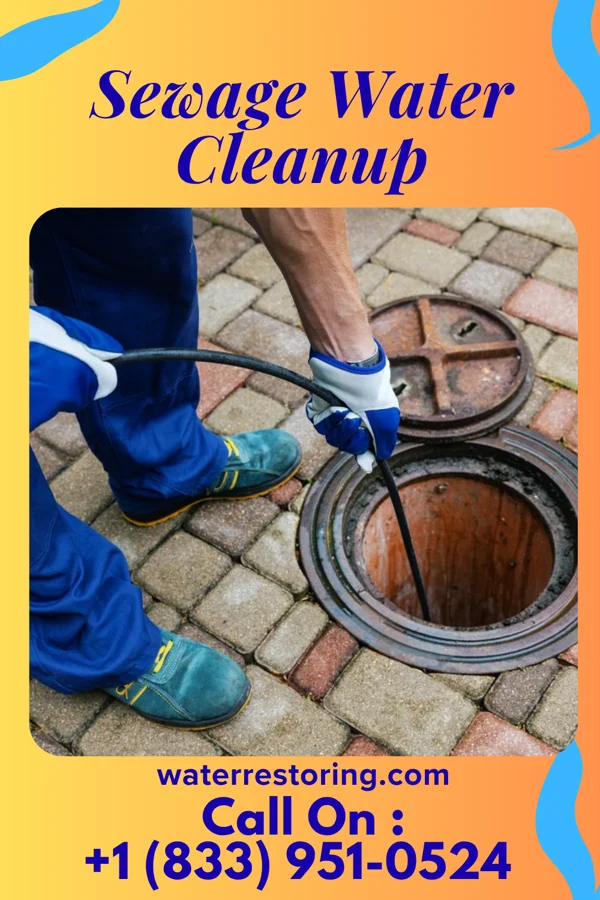 Sewage Water Cleanup in Blasdell, NY