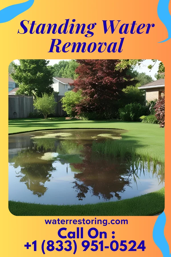 Standing Water Removal in Blasdell, NY
